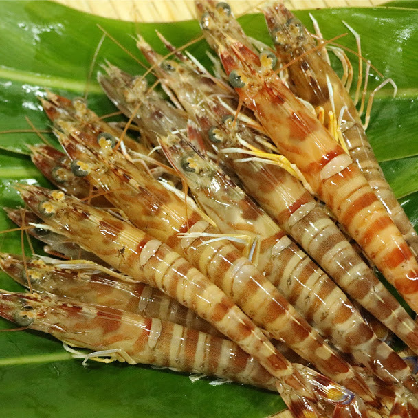 芝生 それから 高度 車 海老 調理 法 Shinsyu Om Jp