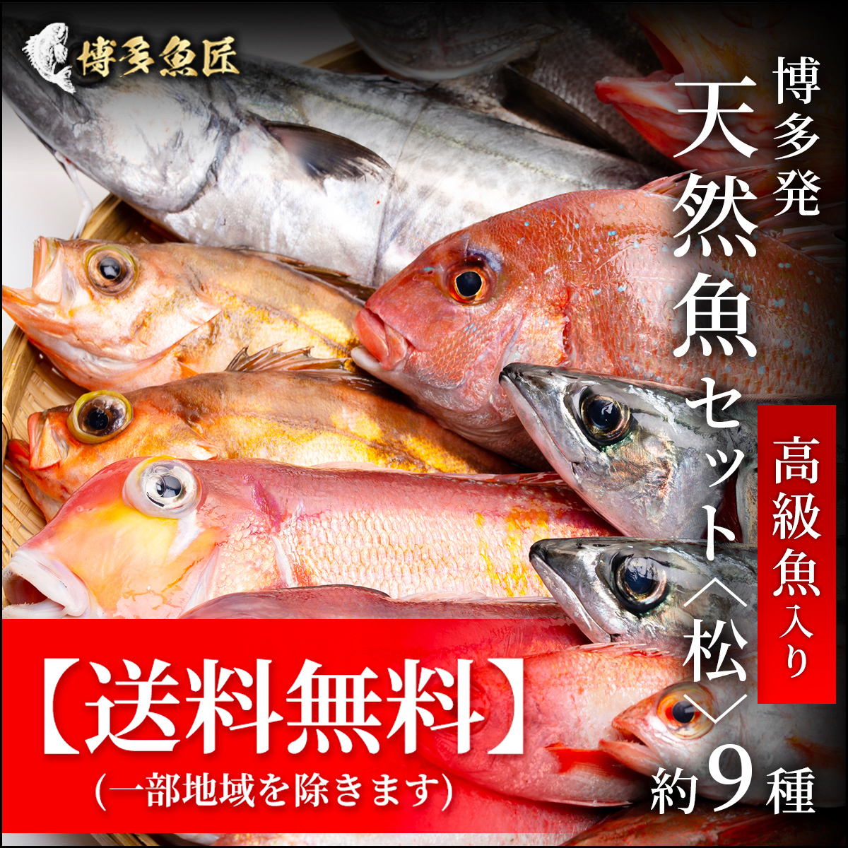 送料無料 天然魚セット 松 高級魚入り 約9種 10 15人前 公式hp 博多魚匠 送料無料 天然魚セット 松 高級魚入り 約9種 10 15人前 公式hp 博多魚匠
