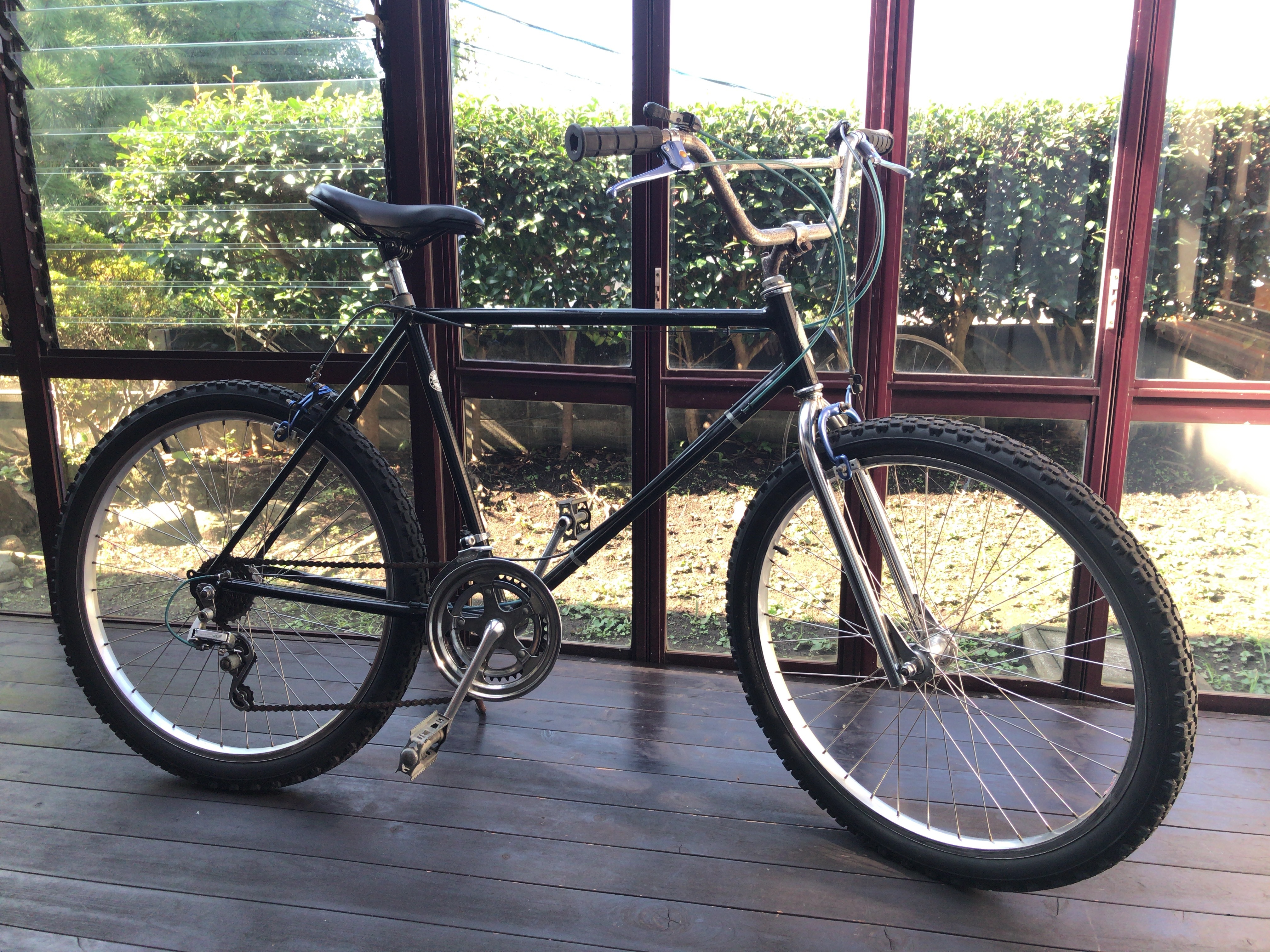 1982 schwinn sidewinder