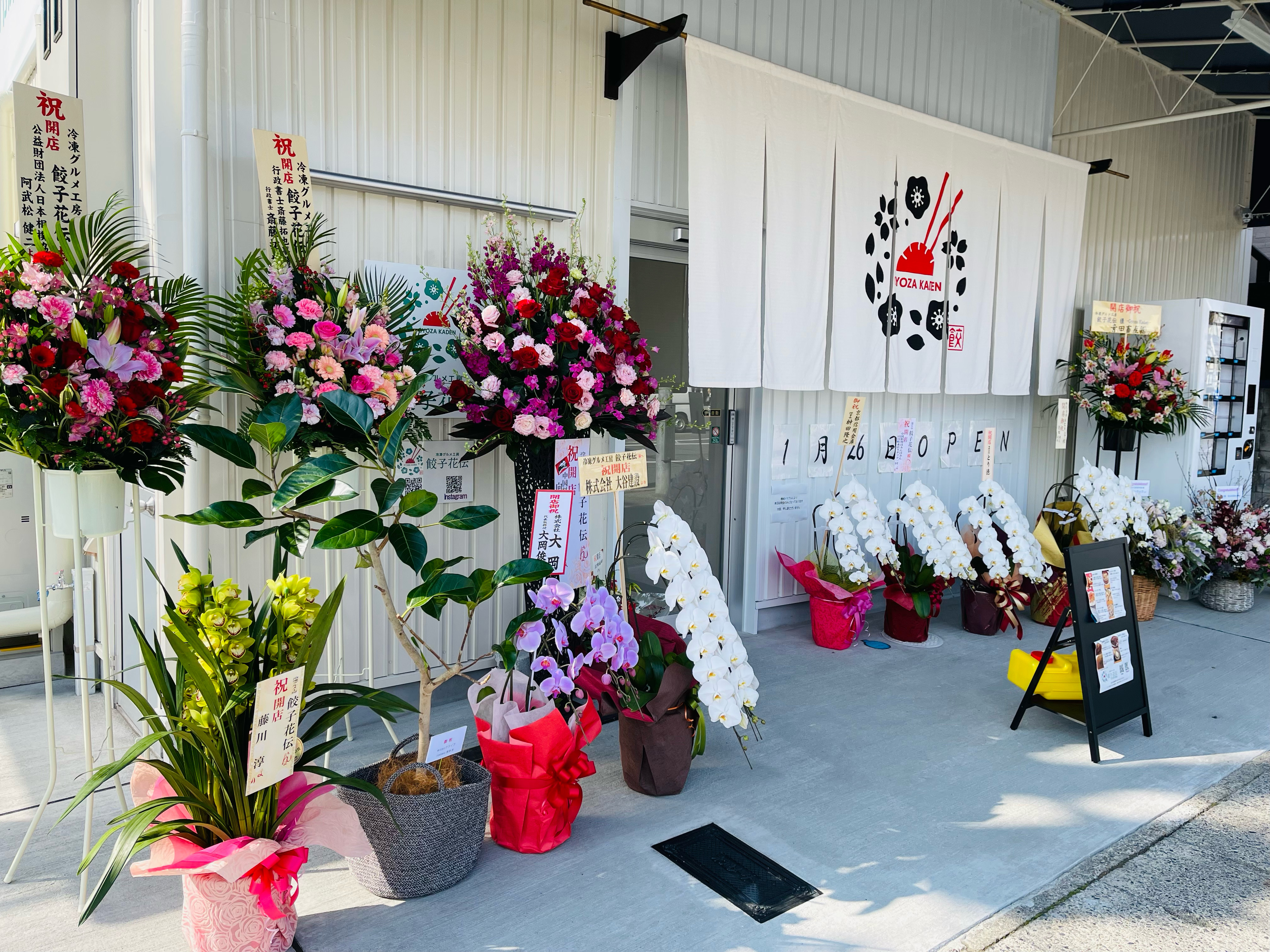 餃子花伝 京都餃子 お取り寄せ餃子 お取り寄せグルメ