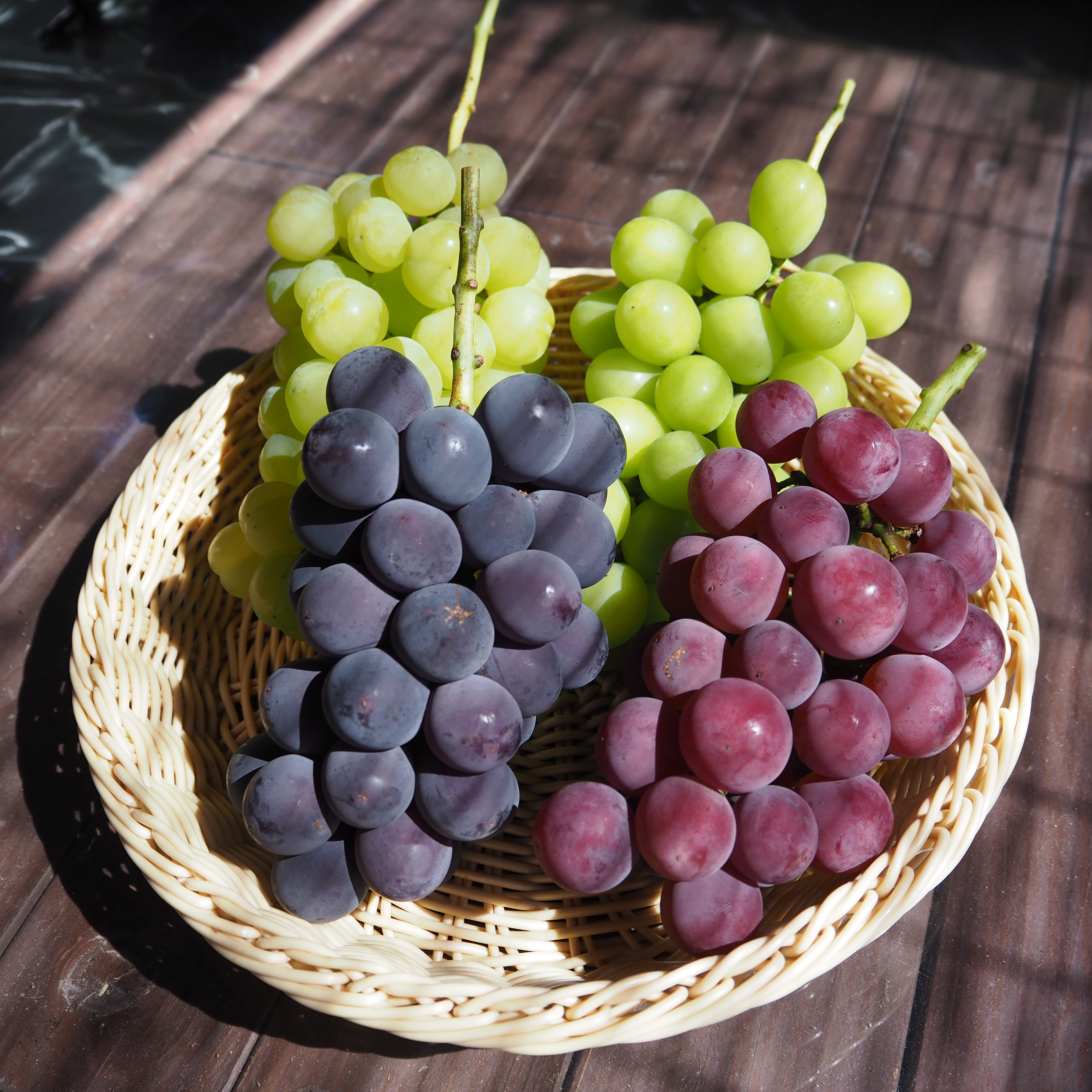 homemade MONO紹介画像2