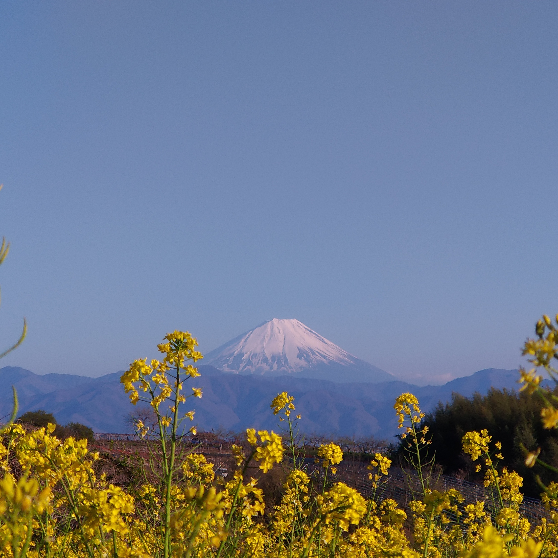 homemade MONO紹介画像1