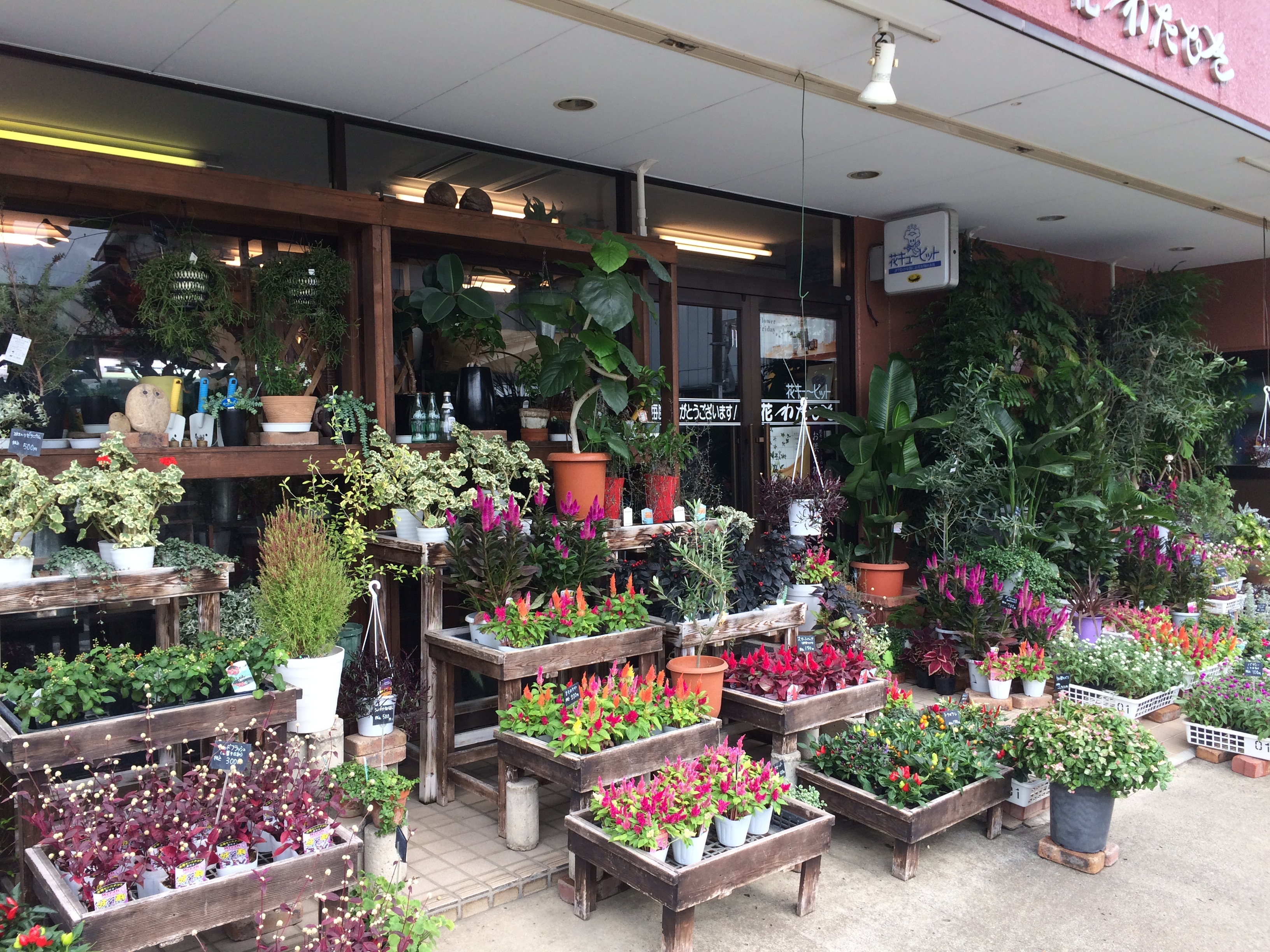 お花屋さん一覧 茨城花プロジェクト公式ショップ