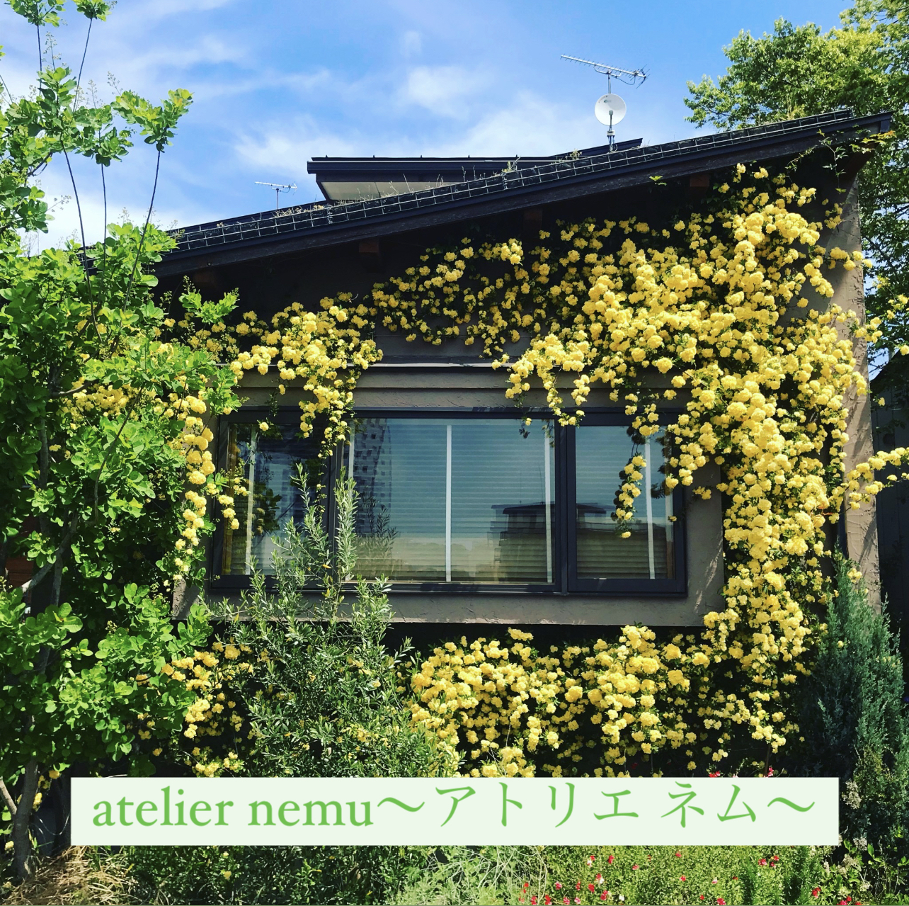 お花屋さん一覧 茨城花プロジェクト公式ショップ お花屋さん一覧 茨城花プロジェクト公式ショップ
