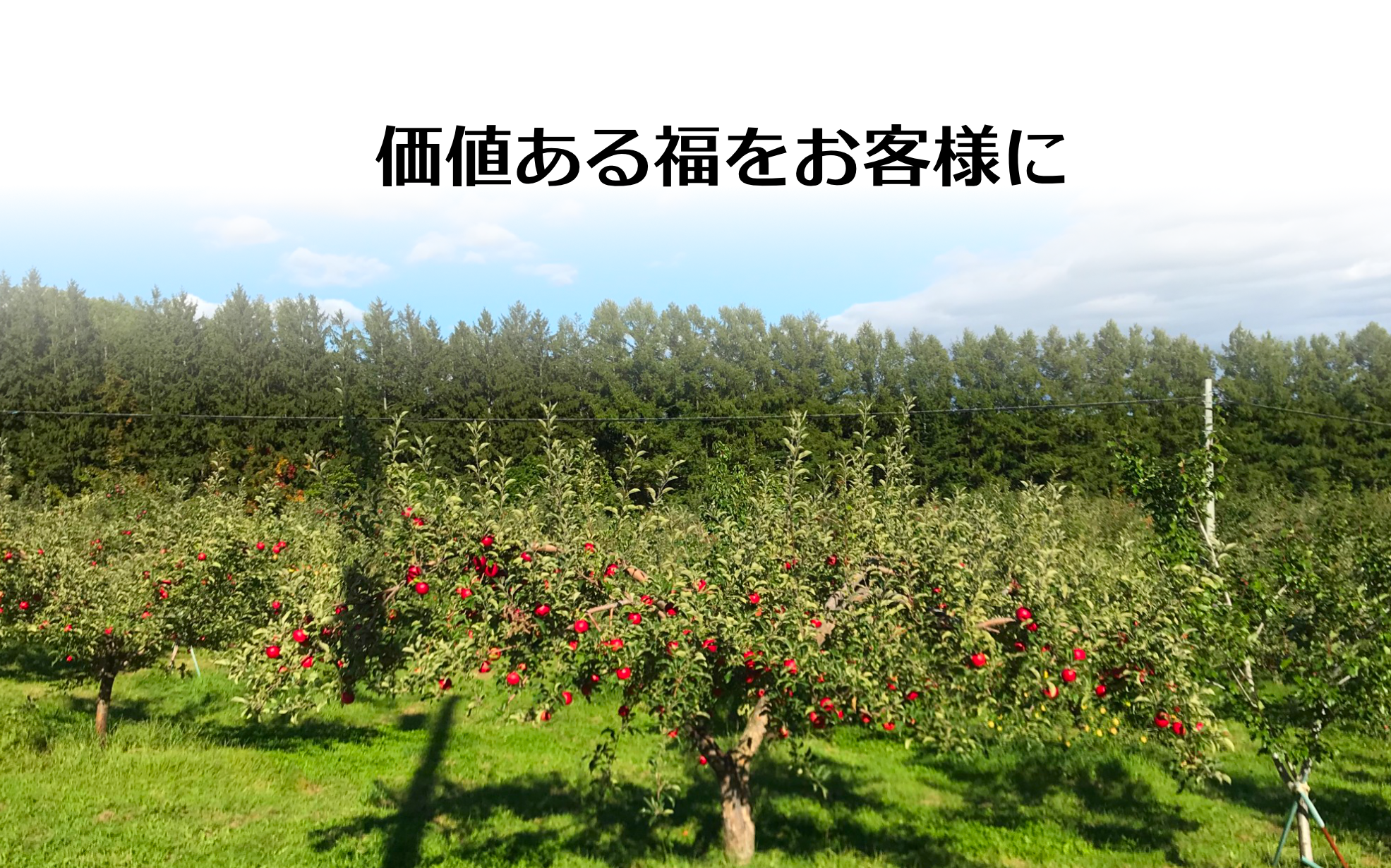 KACHIFUKU