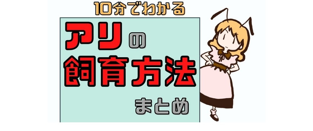 あり巣 In Underground 蟻の総合店 飼育用品と女王アリ