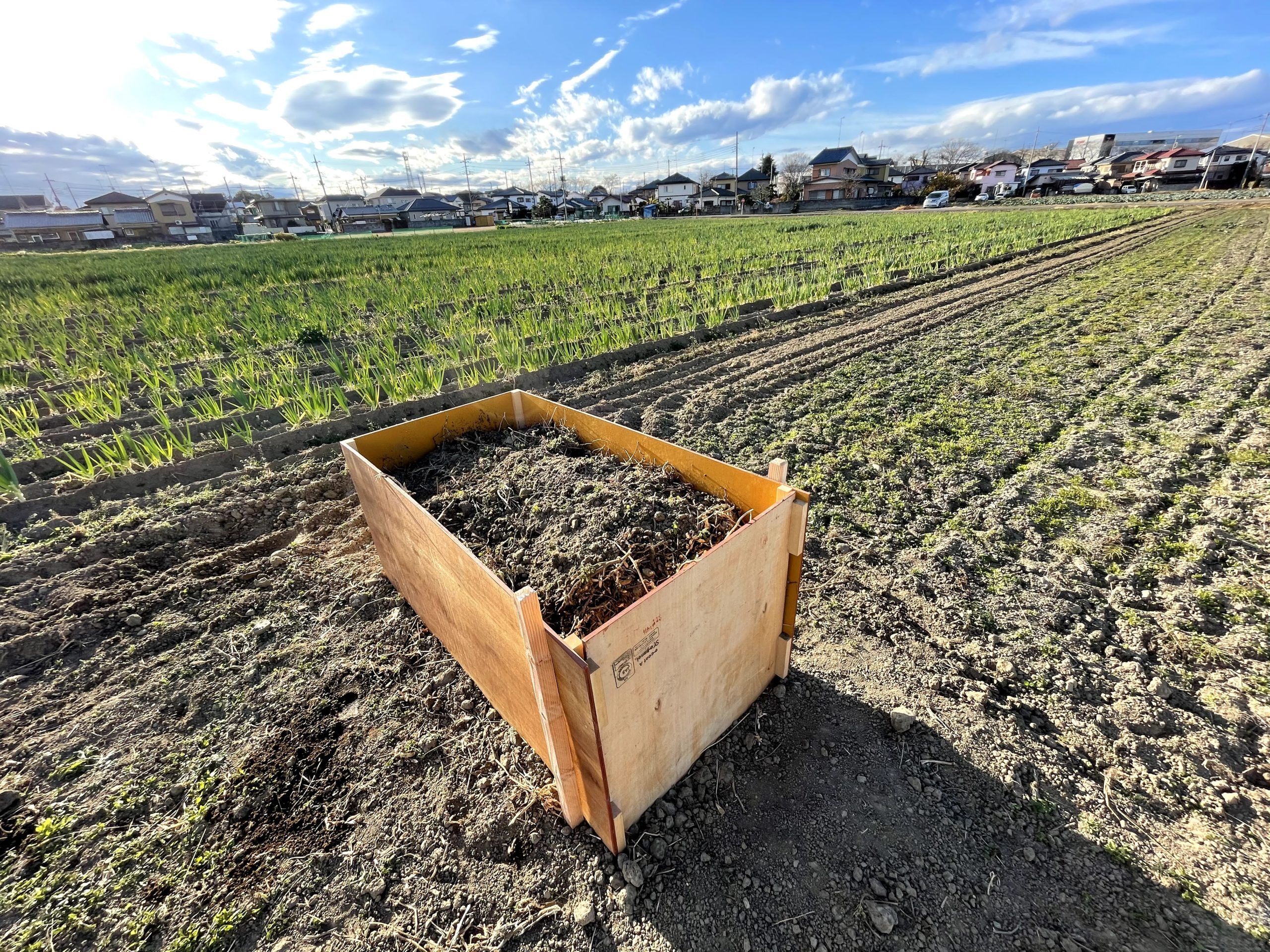 有機 -Organic-