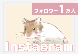 フォロワー１万人/Instagram