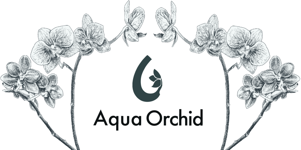 Aqua Orchid