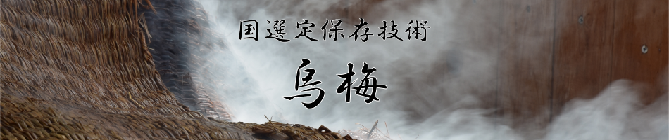 烏梅づくりの里 梅古庵