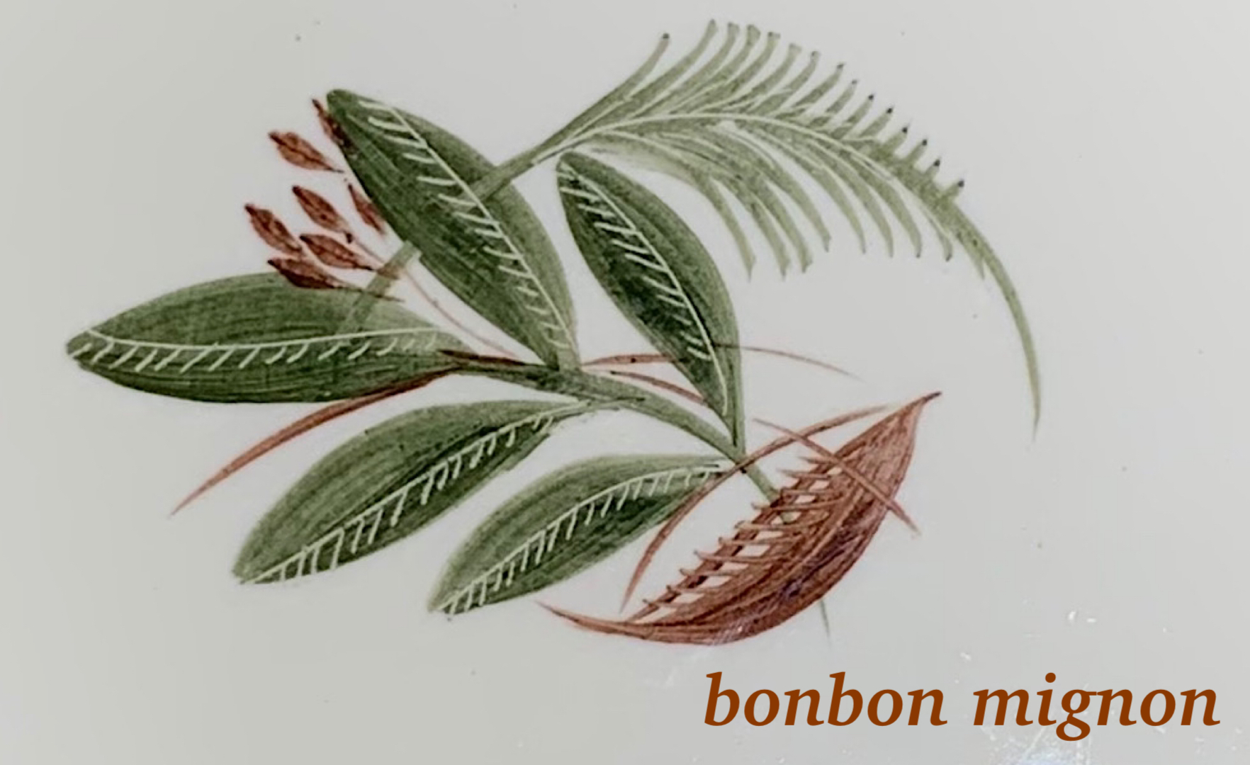 bonbon mignon紹介画像2