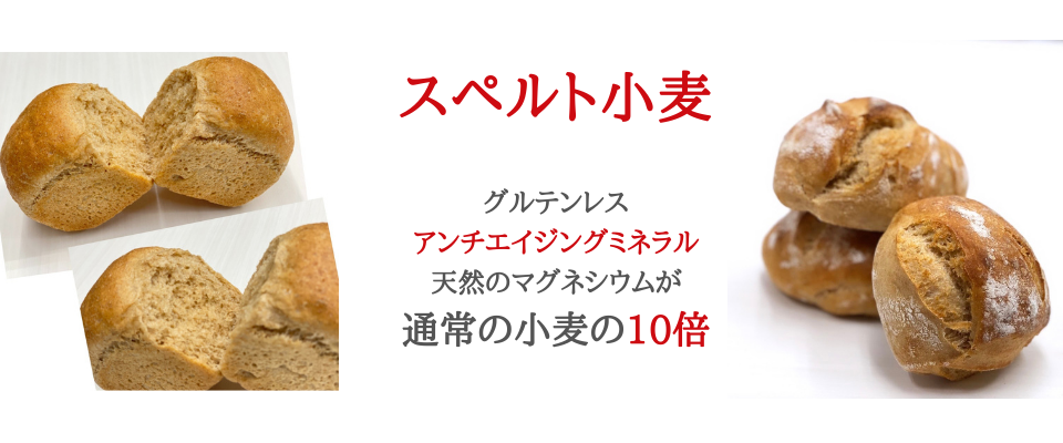 スペルト小麦 Bread Salon Lisa