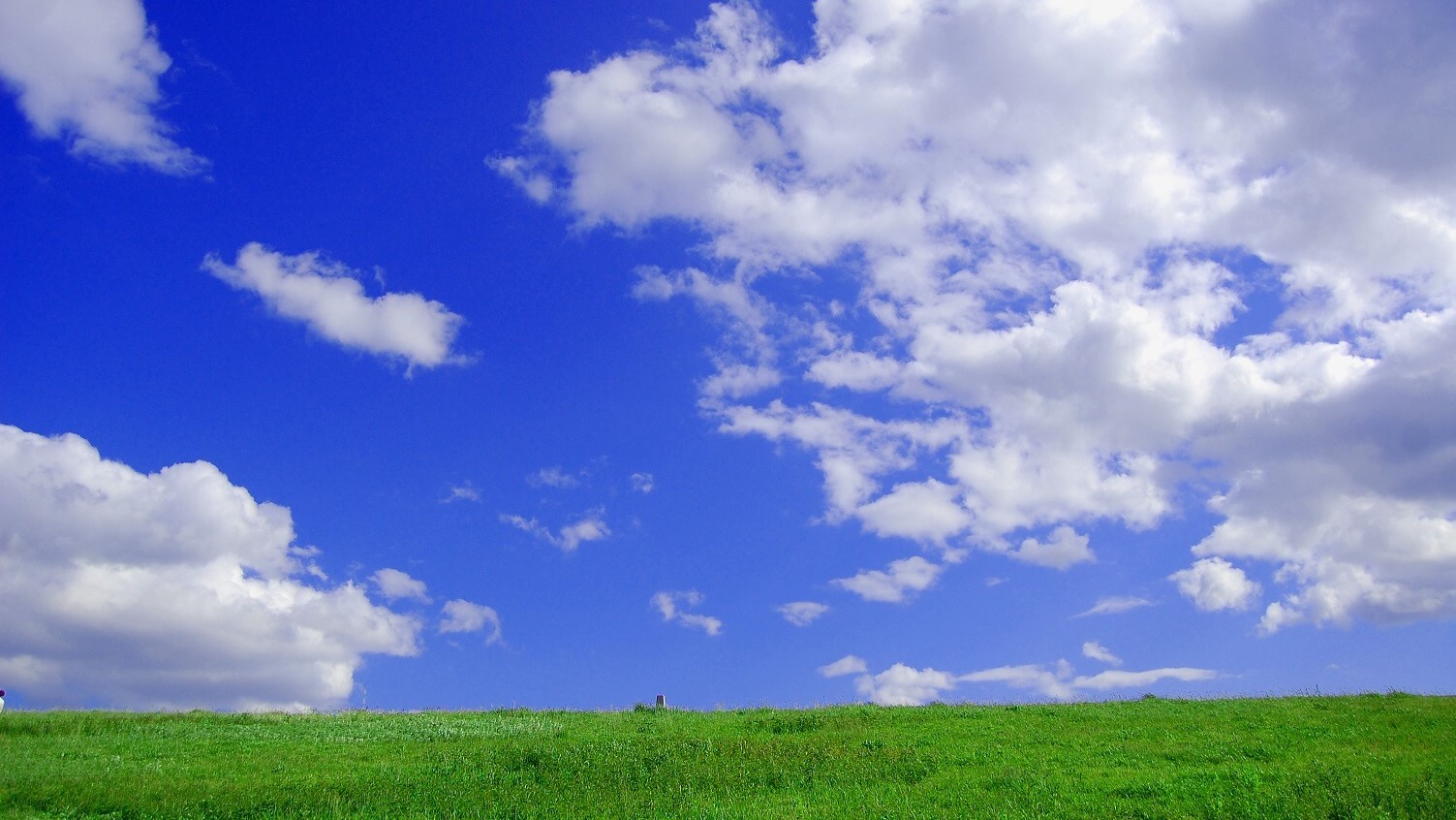 Hope you have a wonderful day!