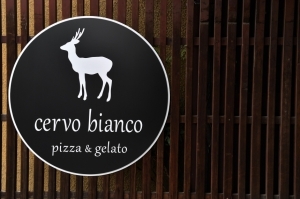 Cervo Bianco