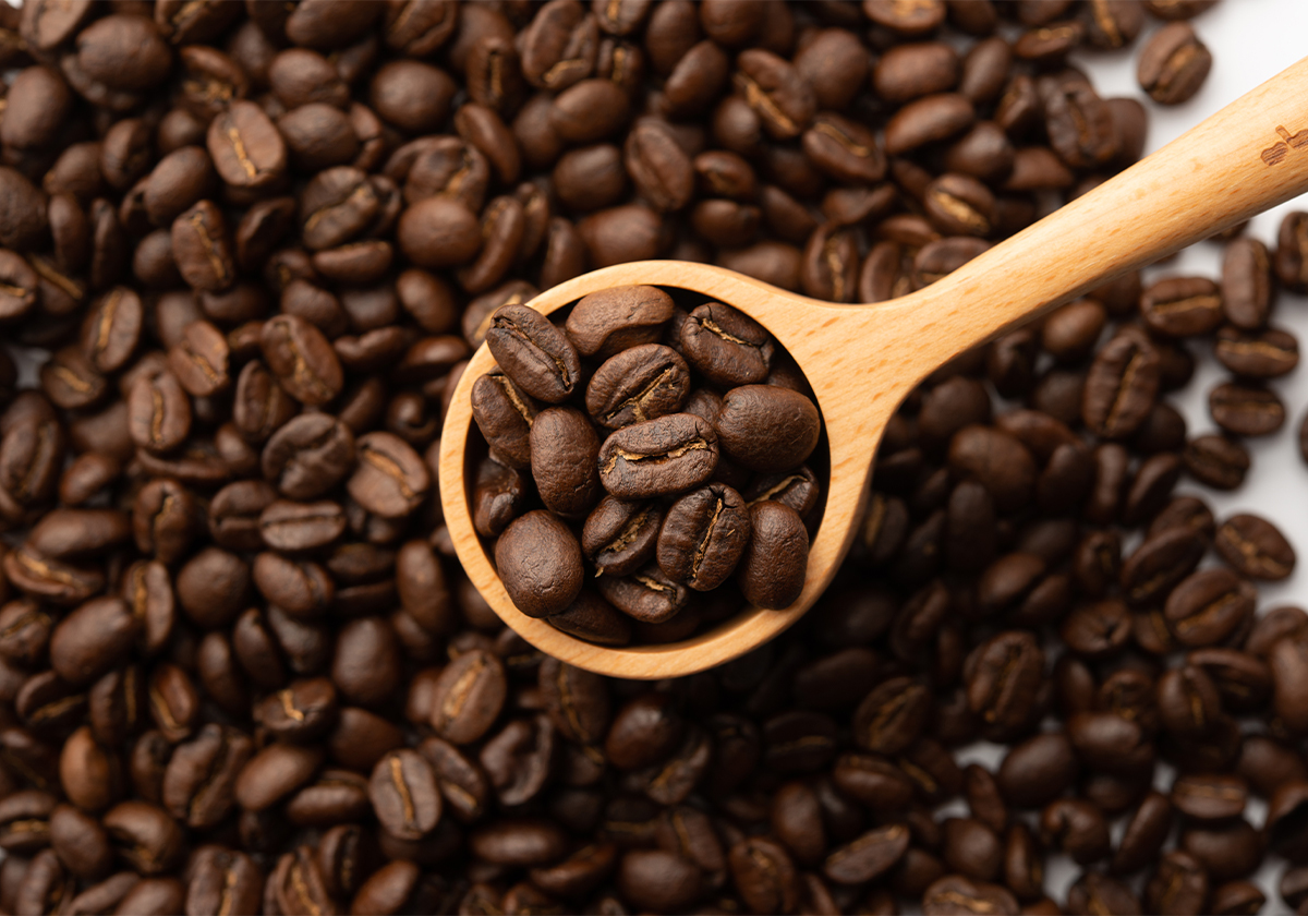 コーヒー豆 通常販売