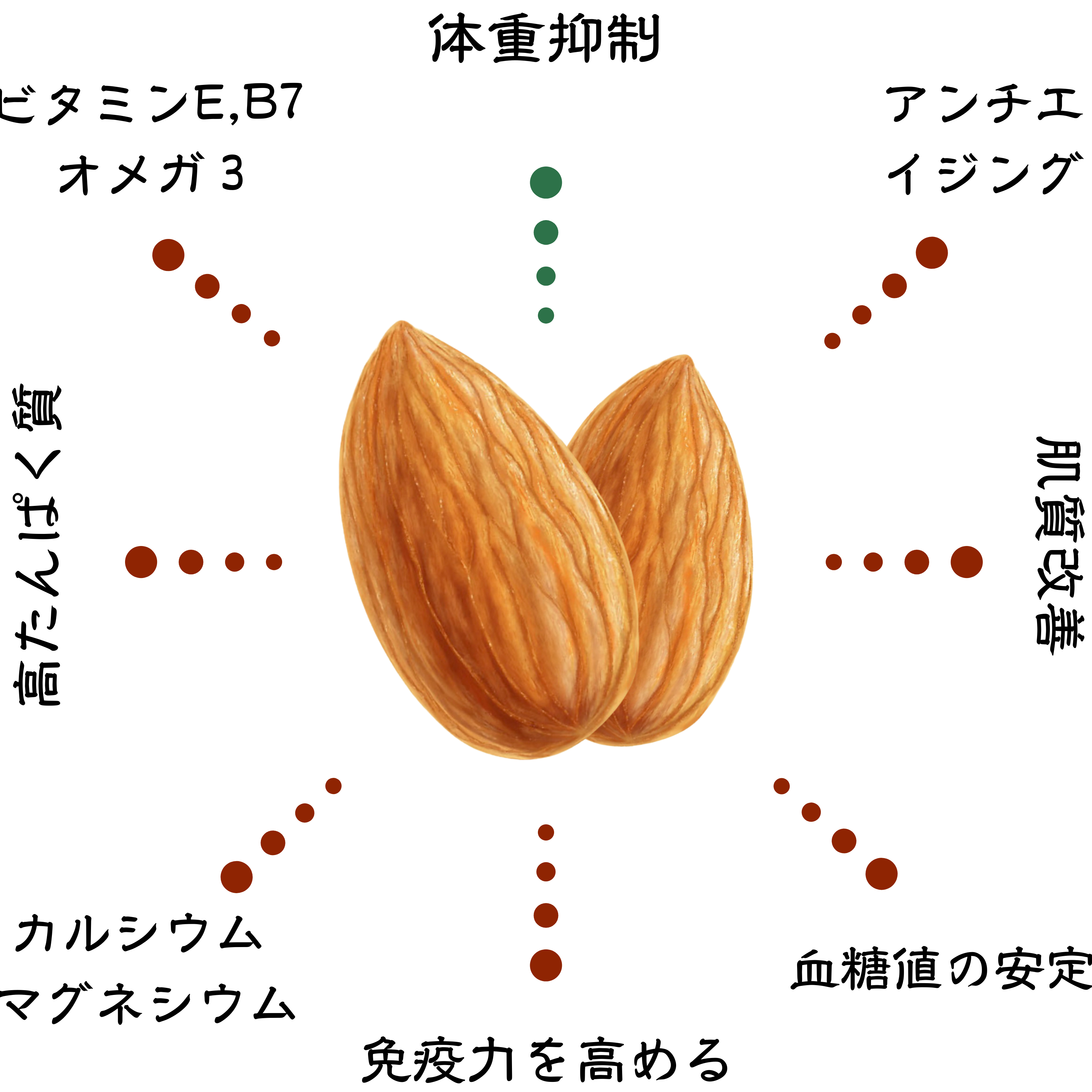 De SAMUELは（働く）女性をサポート。
ビタミンEや食物繊維、ミネラルが豊富な
アーモンドを砂糖、塩、防腐剤を使用せず
ナチュラル製法で造られた100%ナッツバターです。
毎日少しづつ取り入れることで、より健康で、幸せな
女性らしい人生の旅を続けましょう。
