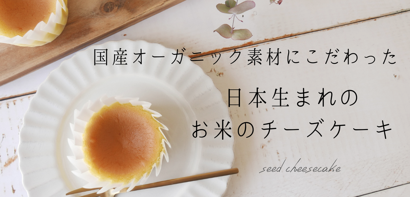チーズケーキ専門店 Seed