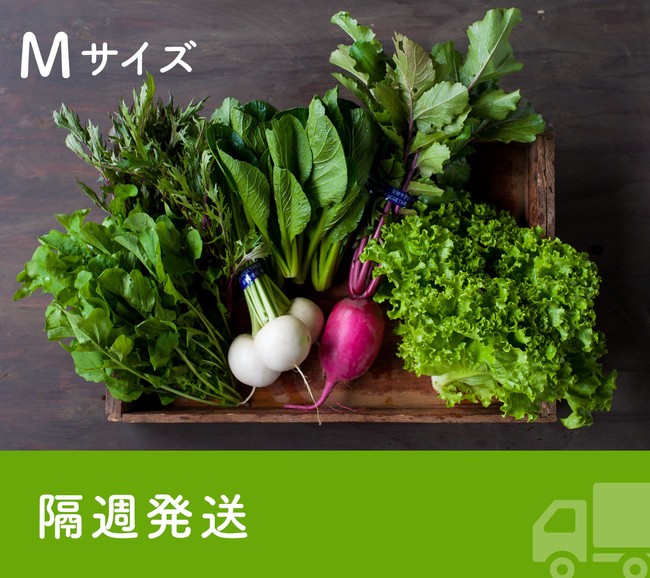 《隔週発送》FIO野菜-定期便 Mサイズ