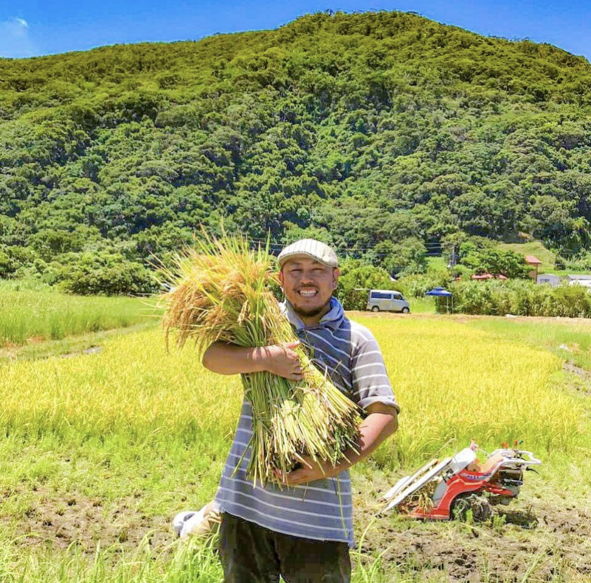 お米の自然栽培