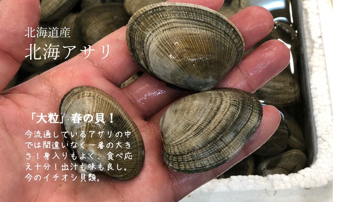 Okawari 豊洲直送の高級海産物をお届け