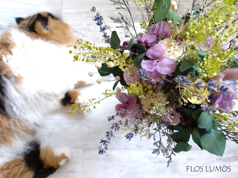 FLOS LUMOS