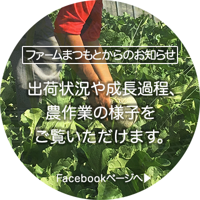 ファームまつもとからのお知らせ：出荷状況や成長過程、農作業の様子をご覧いただけます。