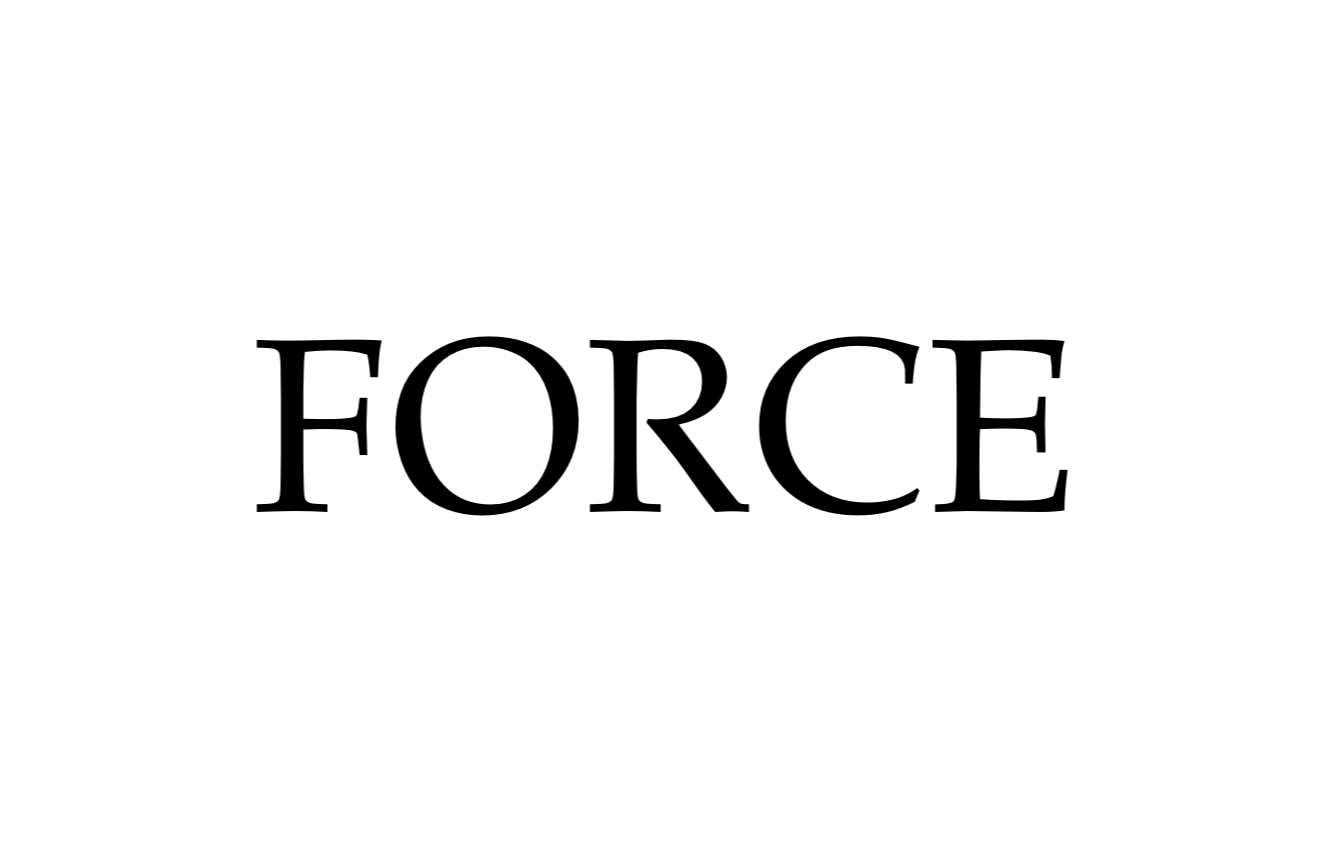 古着屋 FORCE