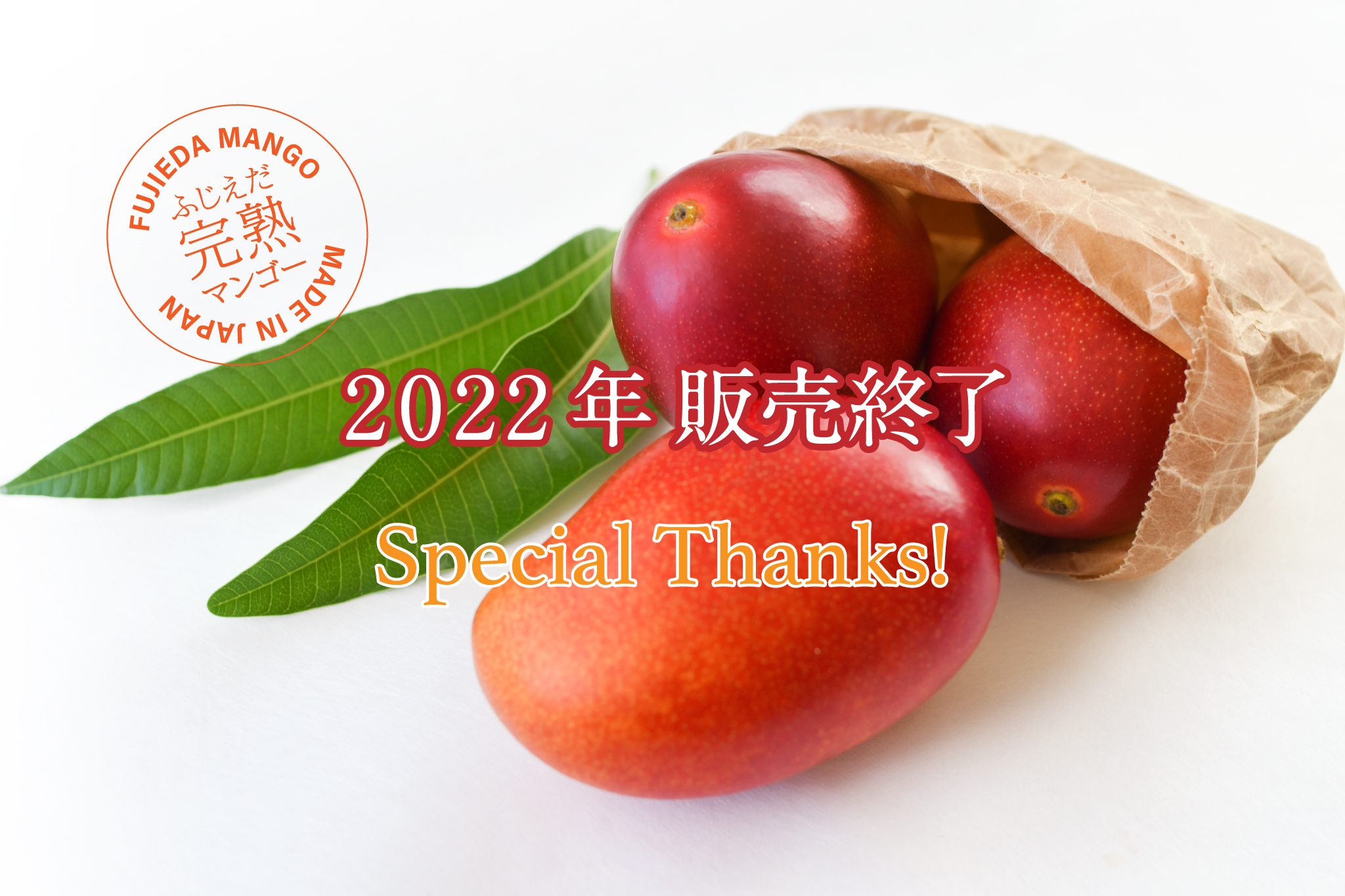 ふじえだ完熟マンゴー 通販 公式オンラインストア