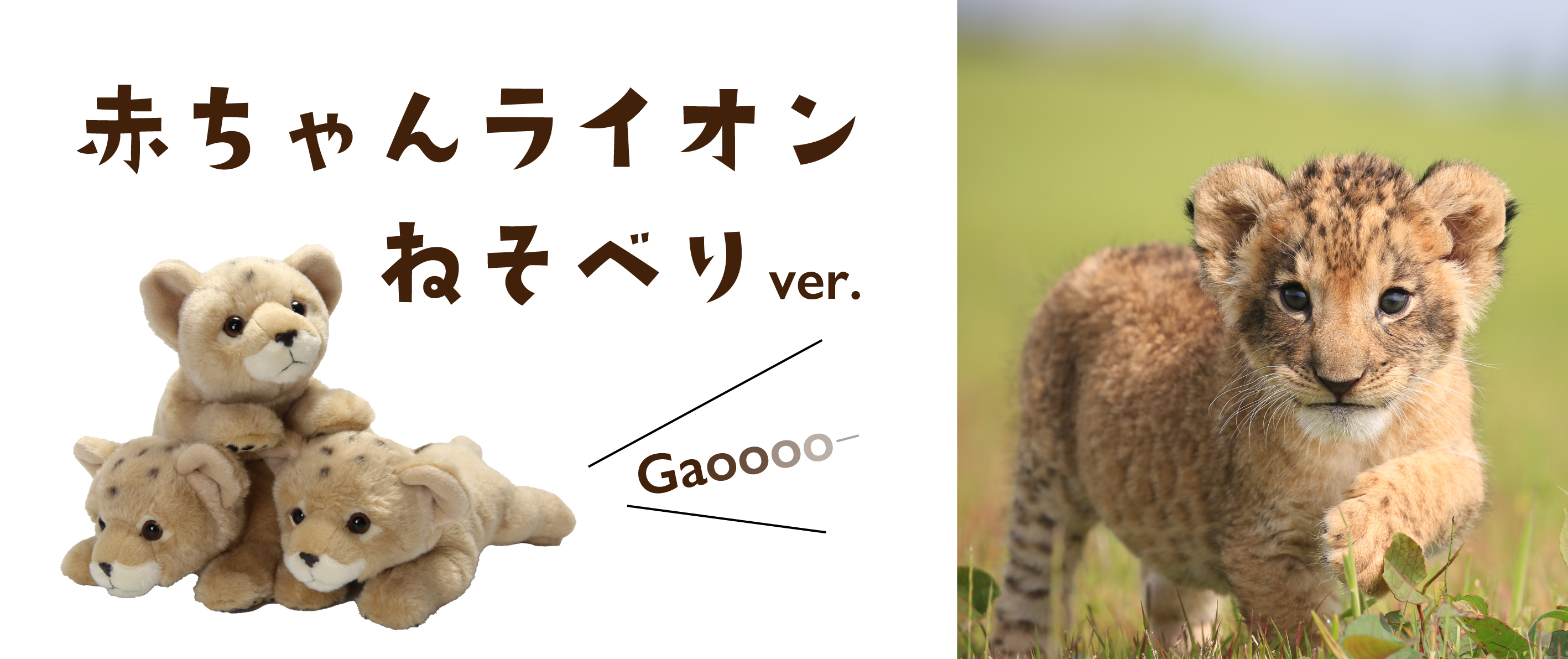 富士サファリパーク