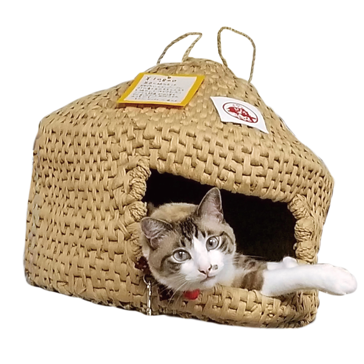 ゆめつぐら（猫の寝床）