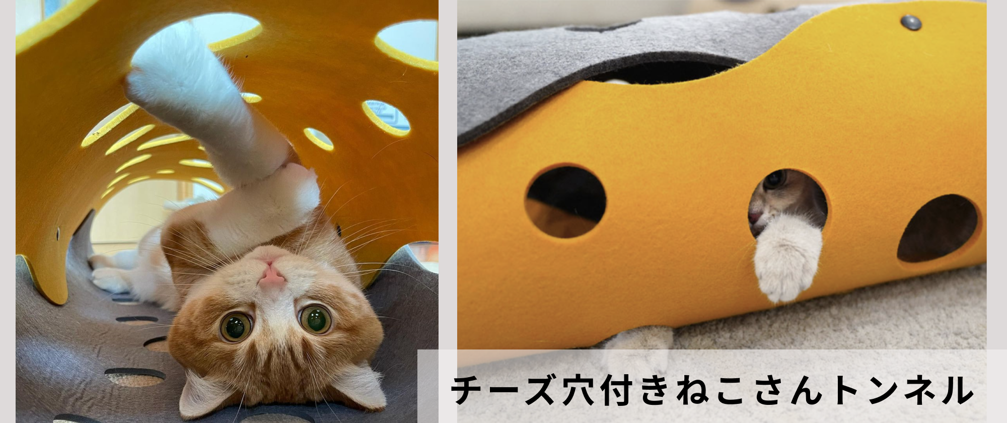 Fumi Fumi 猫さんのグッズ 遊び道具 爪研ぎ おうちを販売しています