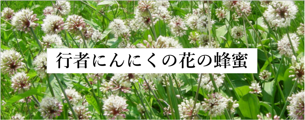 南蔵王 七ヶ宿農園 行者にんにく三昧ブログ