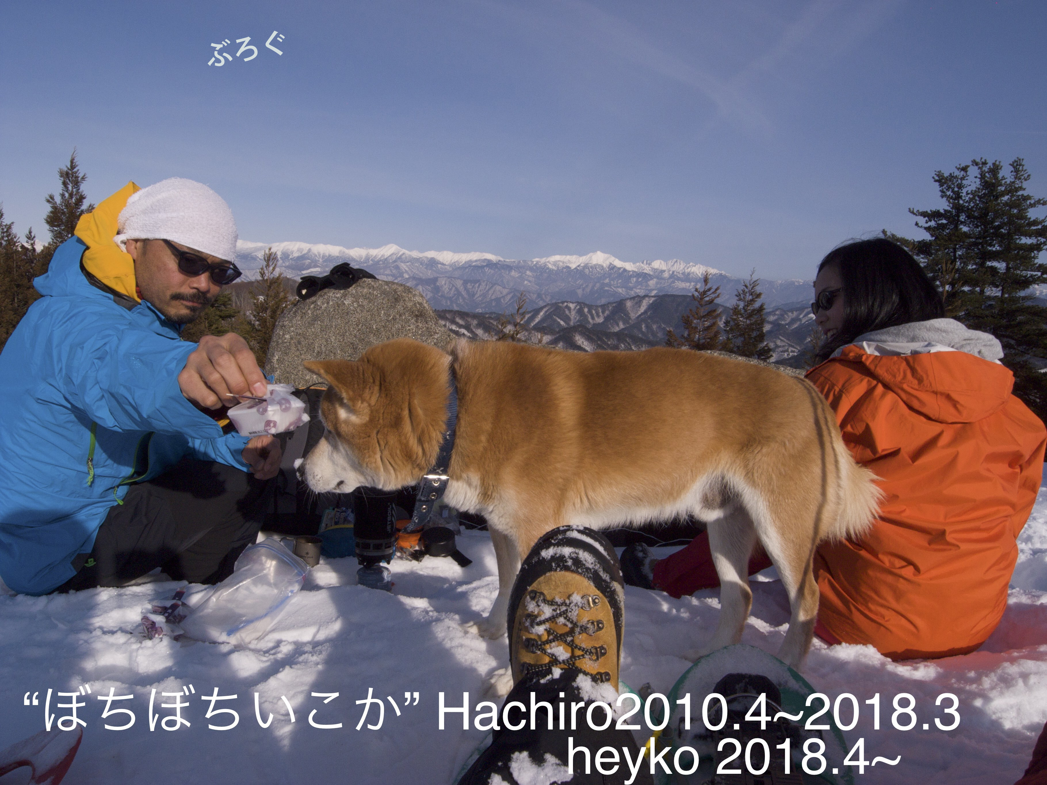 ハチプロダクションweb Shop