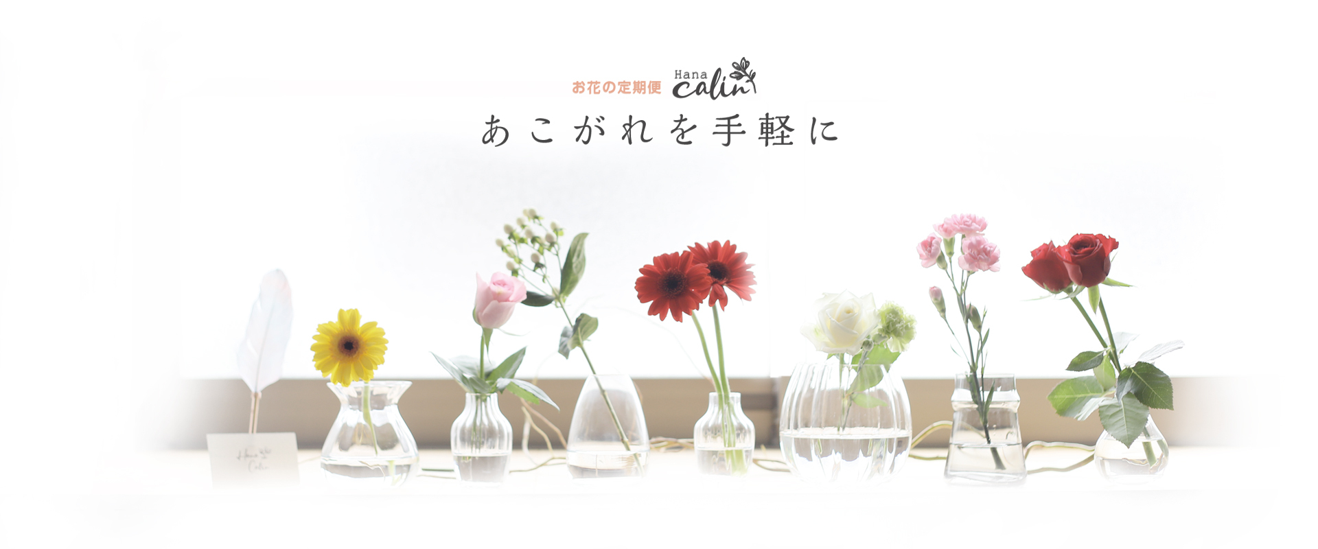 お花の定期便 Hanacalin ハナ カラン