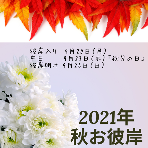 花だより 札幌市北区のお花屋さん