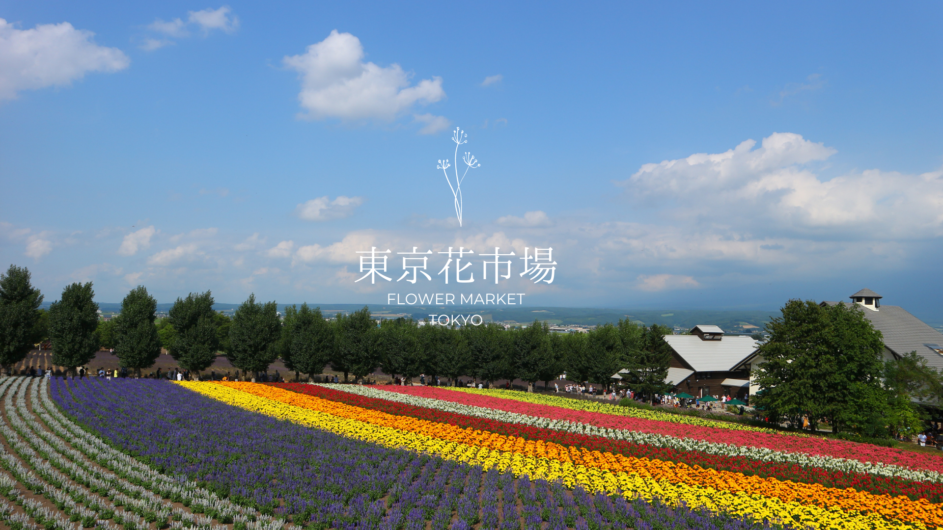 東京花市場