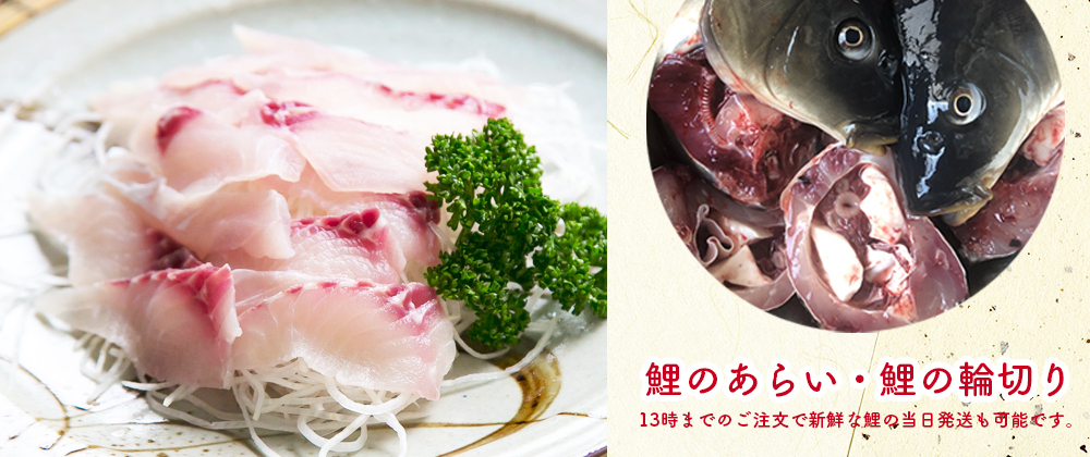 鯉のあらい・切鯉・ドジョウ・小魚煮 |美味しい川魚|ハスミフーズ 鯉のあらい・切鯉・ドジョウ・小魚煮 |美味しい川魚|ハスミフーズ