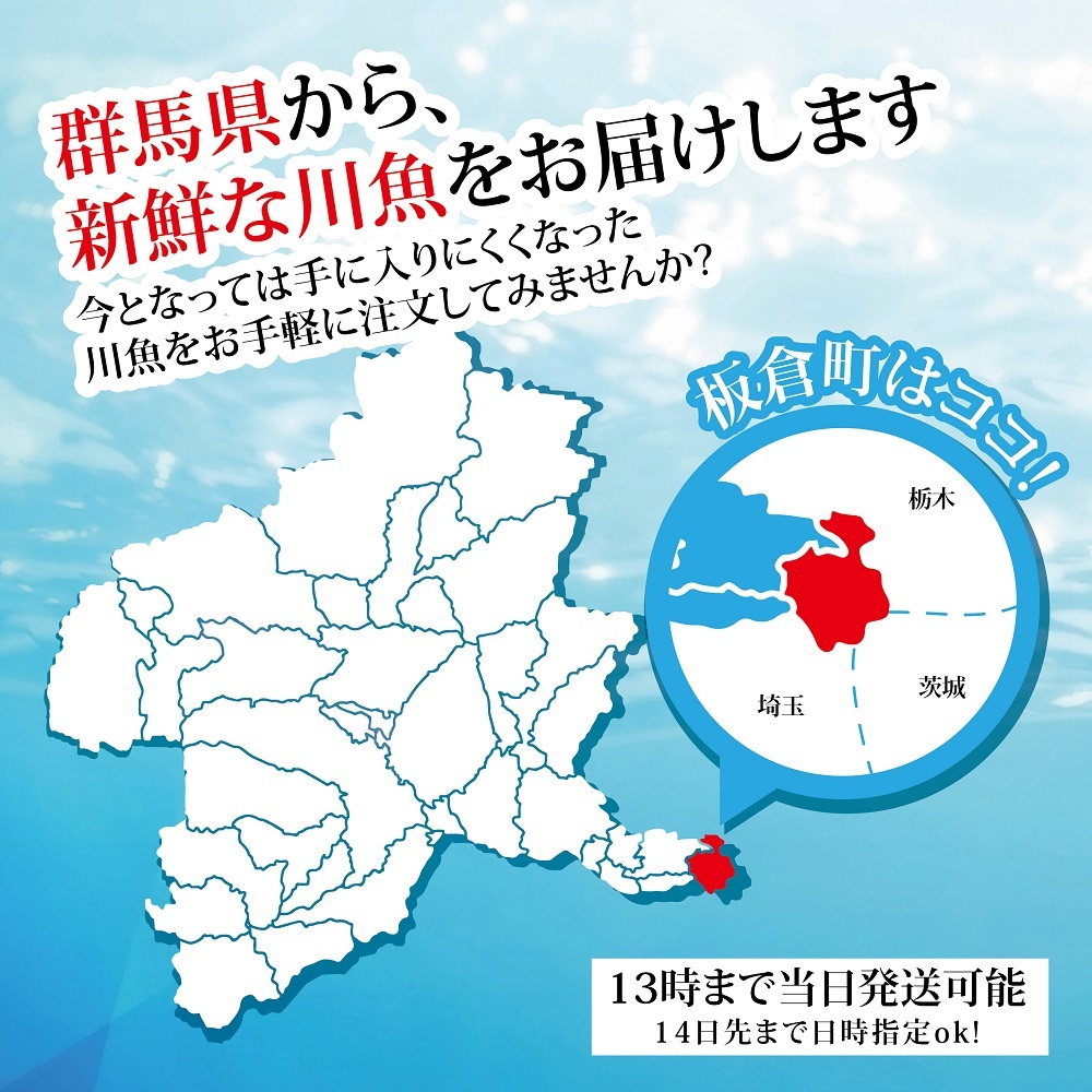 錦鯉: 宮澤正明写真集 | 宮澤 正明 |本 | 通販 | Amazon