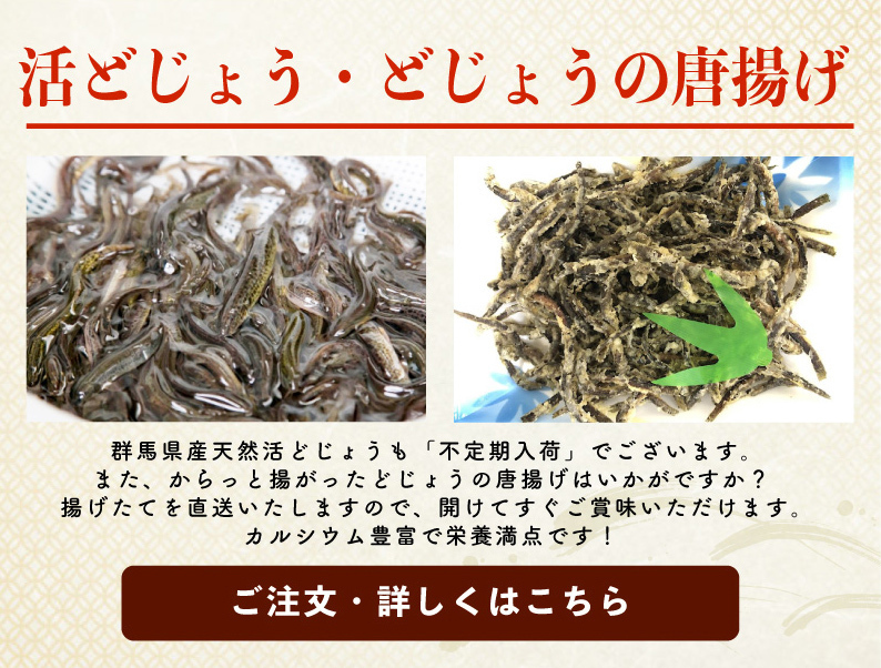 どじょうの唐揚げ 90g 2 3人前 出来立て発送 ドジョウ 泥鰌 惣菜 おつまみ 肴 鯉のあらい フナの甘露煮 ナマズ切身 活ドジョウ 美味しい川魚 ハスミフーズ どじょうの唐揚げ 90g 2 3人前 出来立て発送 ドジョウ 泥鰌 惣菜 おつまみ 肴 鯉のあらい フナの甘露煮 ナマズ切身 活ドジョウ 美味しい川魚 ハスミフーズ
