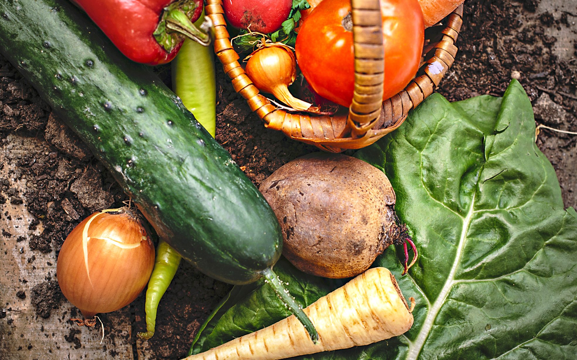 福島こでらんにぇ市場