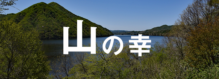 福島こでらんにぇ市場
