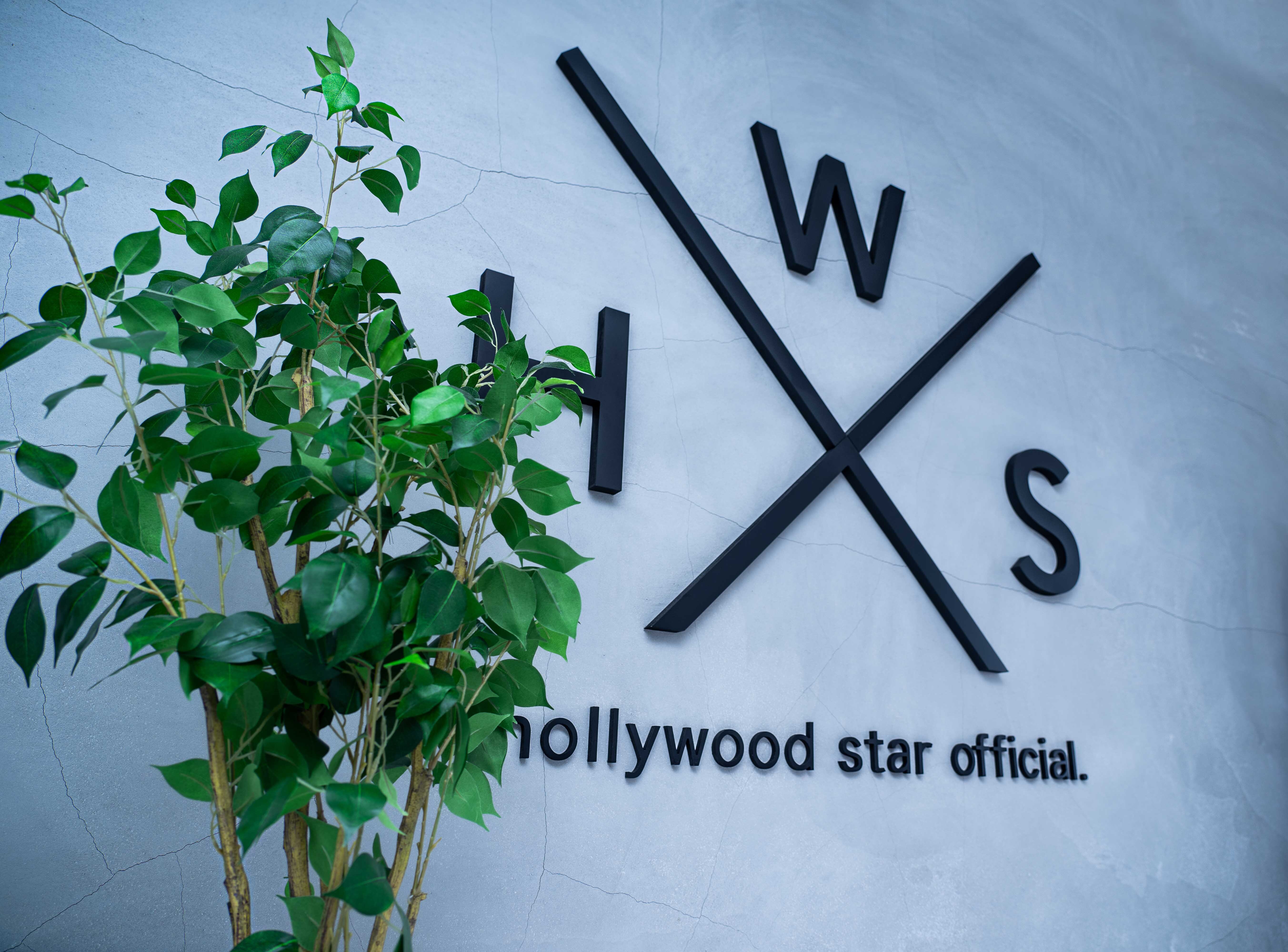 Hollywood Star Official