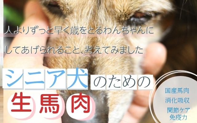 リアル Rinajour リナジュール のファッション デニムウェスタンシャツ Womens Mens シャツ ブラウス Rinajour リナジュール セール Rinajour リナジュール のシャツ ブラウス Rinajour リナジュール デニムウェスタンシャツ