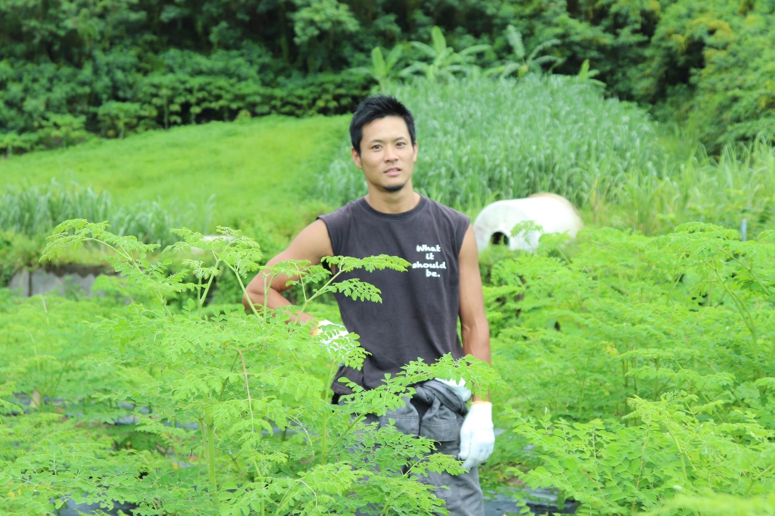 沖縄県にある自然栽培農家。
本然農園では、持続可能な社会を目指すために環境や人体への安全を考えた無肥料無農薬の自然栽培という農法でモリンガ栽培をメインに活動しております。