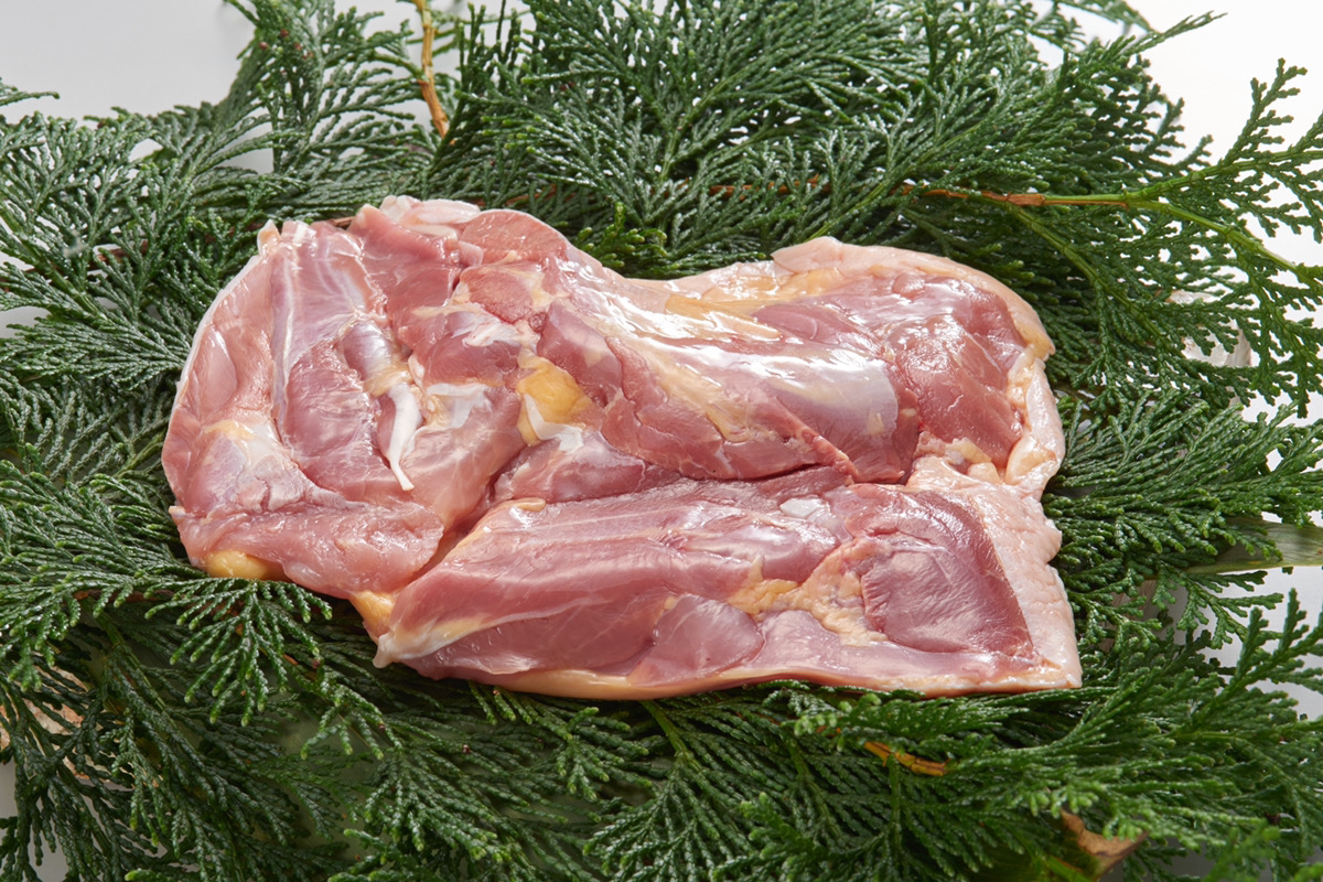 近の大和肉鶏