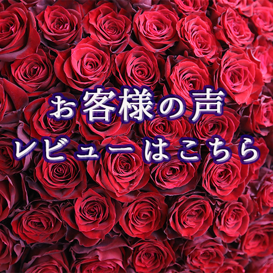 100本のバラ用花瓶 写真のバラは造花です バラは付属ではありません 100本のバラ専門店