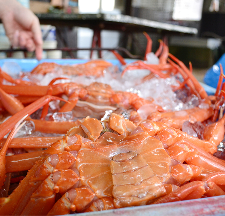 兵庫県香住柴山の 柴山ガニ・香住ガニ・干魚・カニホタルのことなら今西食品