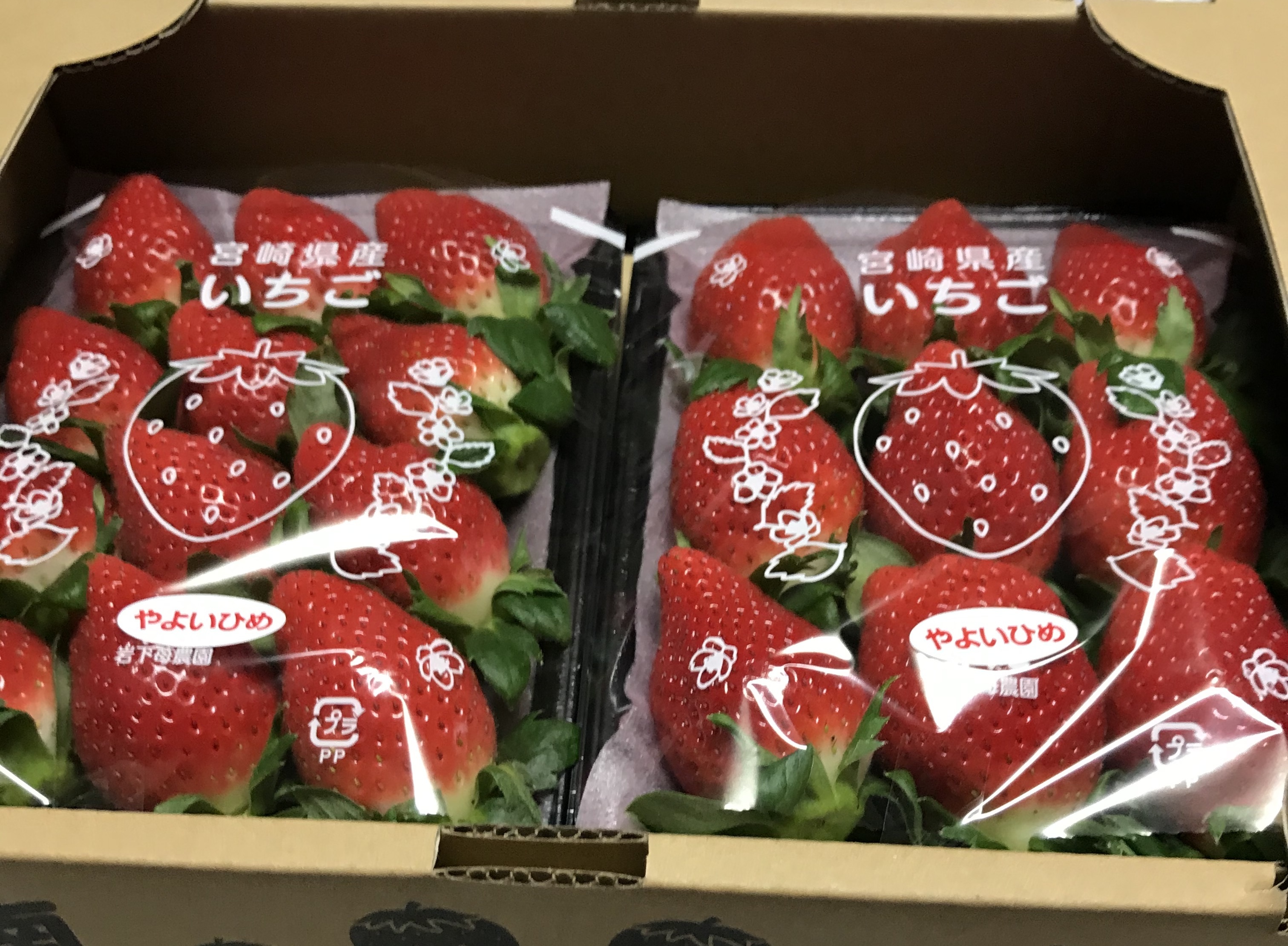 岩下いちご農園
