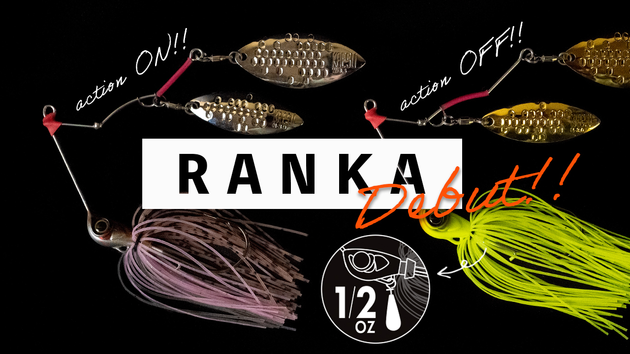 超特価sale開催 カエス イサナ 8インチ 10 チャートバックホログラム Kaesu Www Isole Greche Com