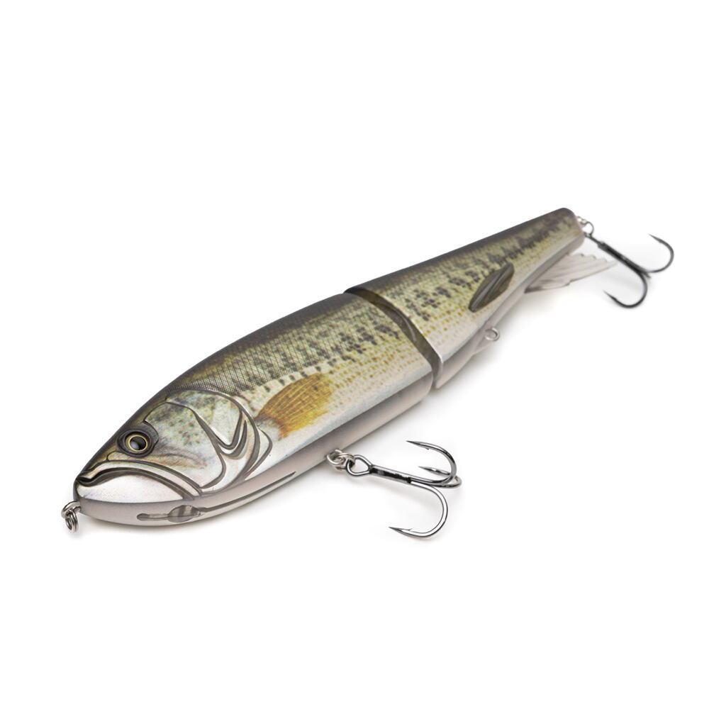 超特価sale開催 カエス イサナ 8インチ 10 チャートバックホログラム Kaesu Www Isole Greche Com